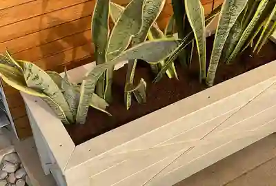 אדניות לעסקים