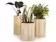 לגלוש לאדניות